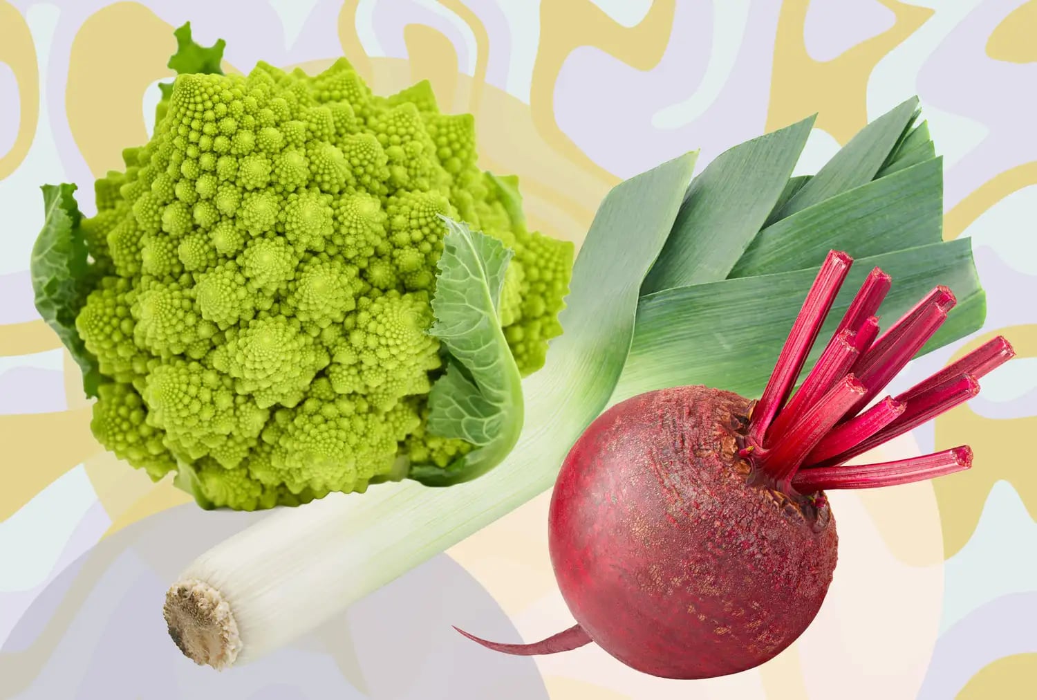 El plato anti-inflamatorio: qué comer para apagar el fuego silencioso que también cansa