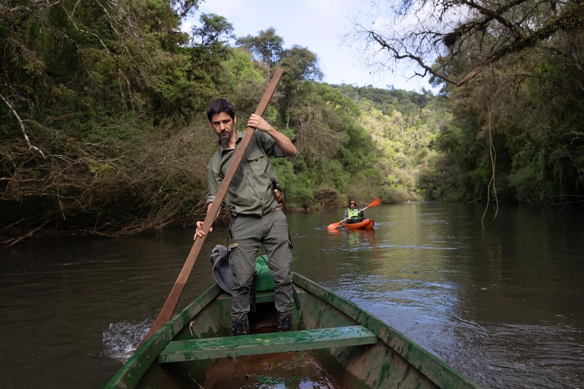 Margay, una reserva de Misiones que combina cabañas sobre el arroyo, senderos selváticos y restauración de selva paranaense