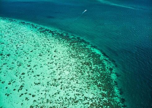 Cayo Ambergris: dos caminos para llegar a San Pedro y un menú de excursiones sobre el Caribe