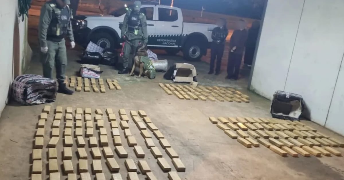 Secuestran más de 142 kilos de marihuana en un colectivo que iba de Misiones a Buenos Aires