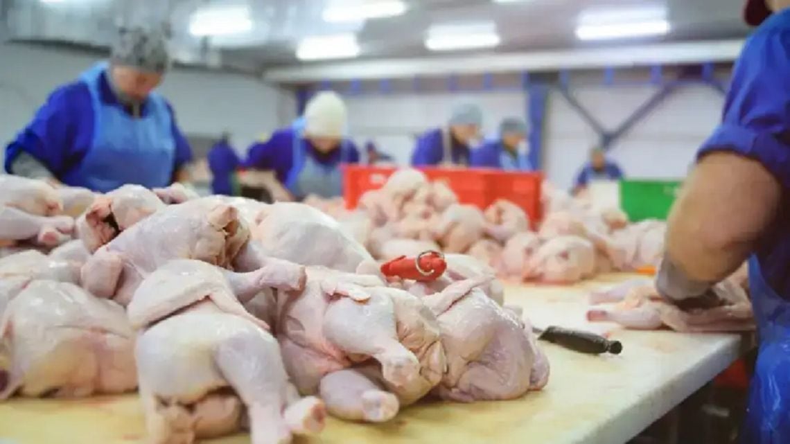 Por primera vez, el consumo de pollo superó al de carne vacuna en la Argentina