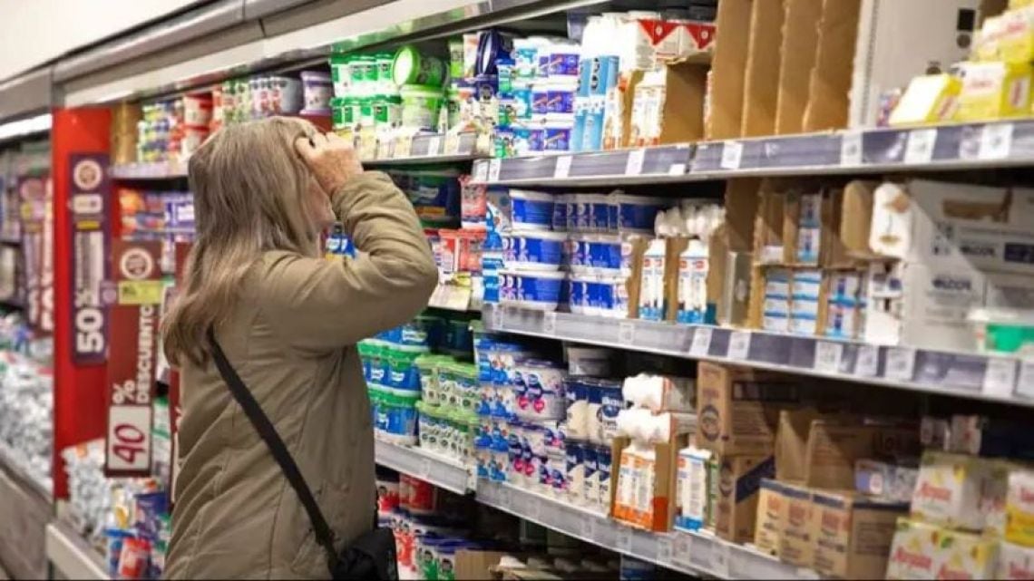 El 88,8% de los hogares argentinos necesitó financiamiento para comprar alimentos en septiembre, según el IETSE