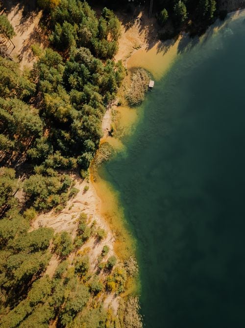 La isla donde todavía se escucha el bosque: una capillita de 1933 sobrevive sobre las aguas del Lácar