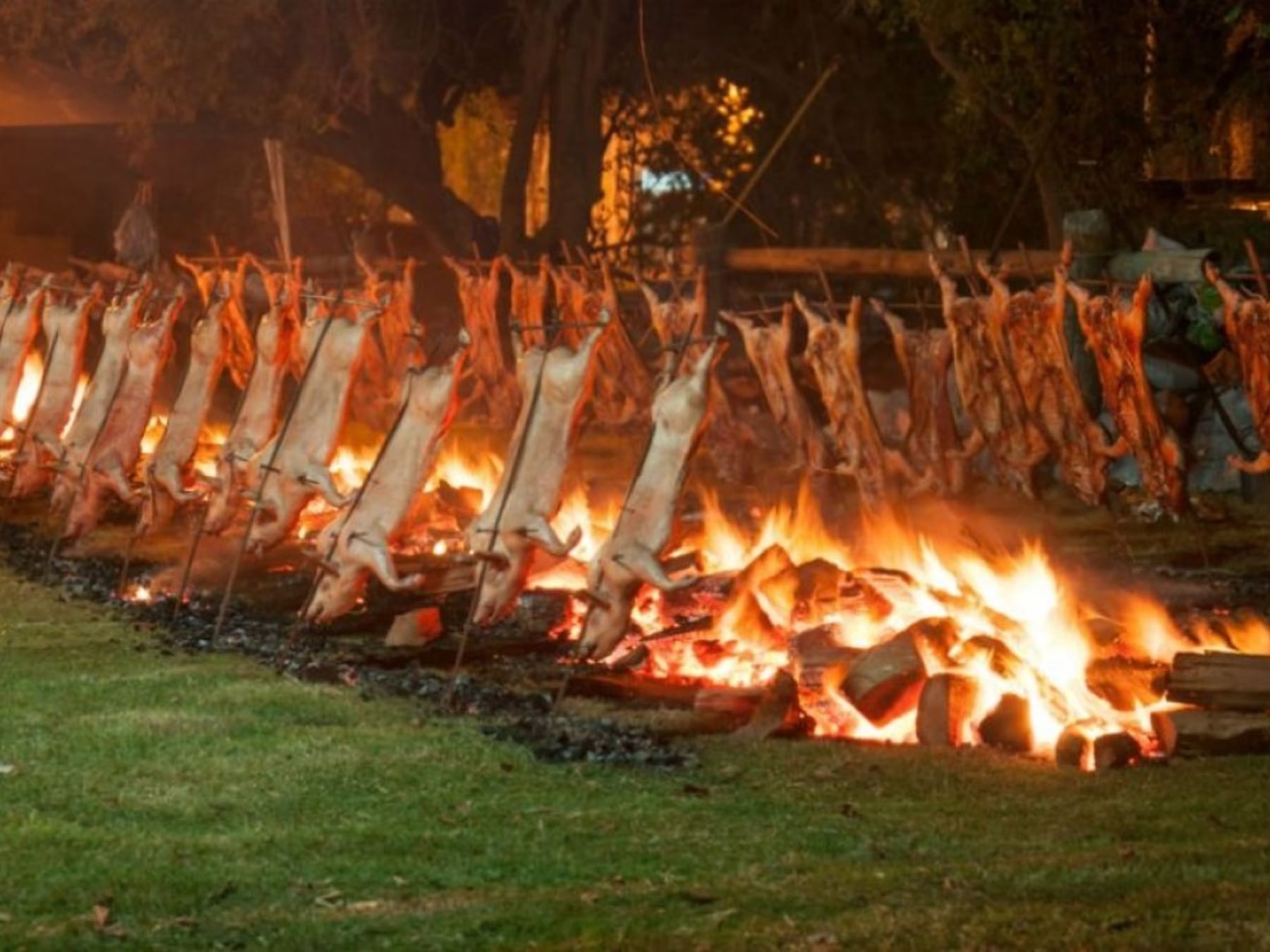 Cinco fiestas populares y dos circuitos cerveceros para escaparse por la provincia de Buenos Aires