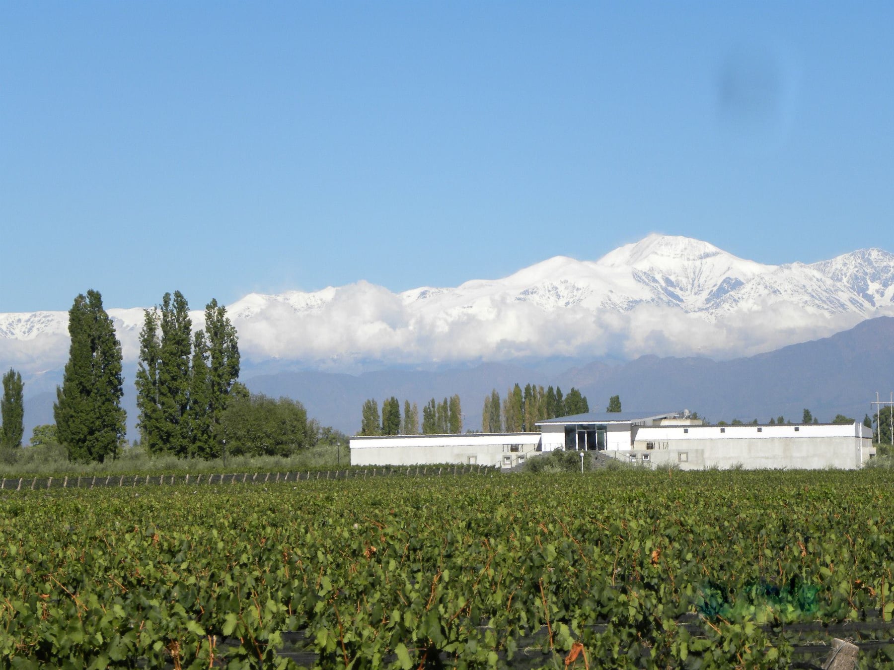 Chacras de Coria consolida su perfil de destino vitivinícola y gastronómico a pasos de la capital mendocina
