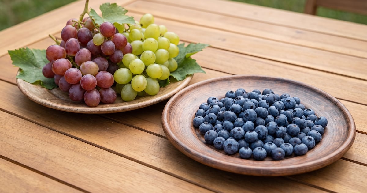 Arándanos y uvas, una pulseada silenciosa por la glucosa: cuál pica menos y por qué