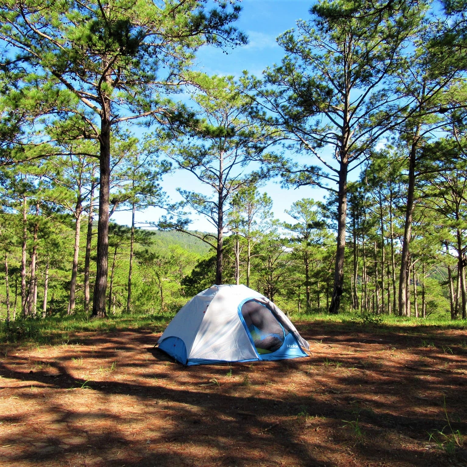 Mar Azul estrenará en diciembre un camping de origen francés con 240 parcelas y carpas equipadas