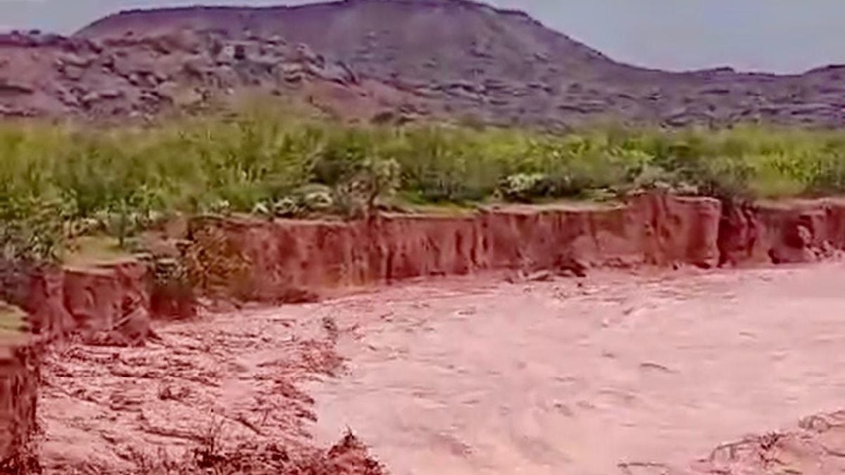 Río Neuquén: cómo verificar los caudales oficiales durante las alertas por lluvias